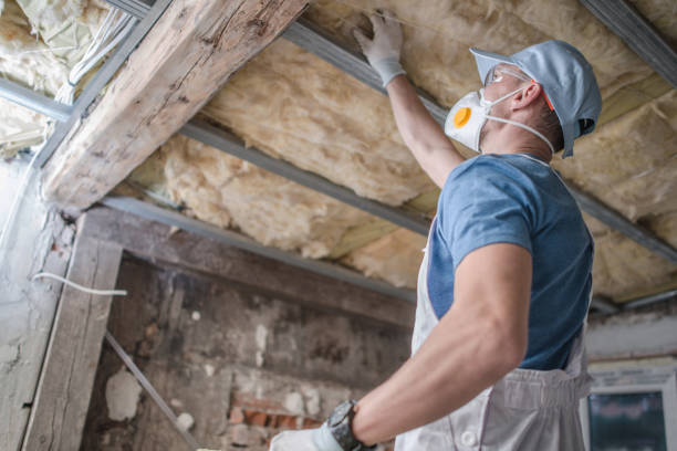 Best Attic Insulation Installation  in Rockledge, FL